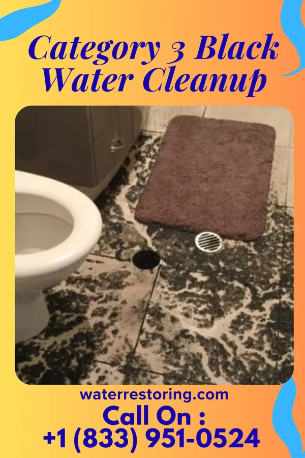 Category 3 Black Water Cleanup in McLaughlin, SD